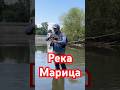 СЕЧ на река МАРИЦА в град Пловдив #риболов на кефал