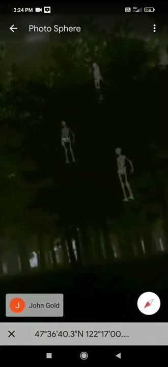 Skeleton on google earth. #shorts