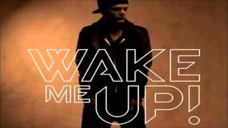 Avicii ft  Aloe Blacc   Wake Me Up (Lyrics)