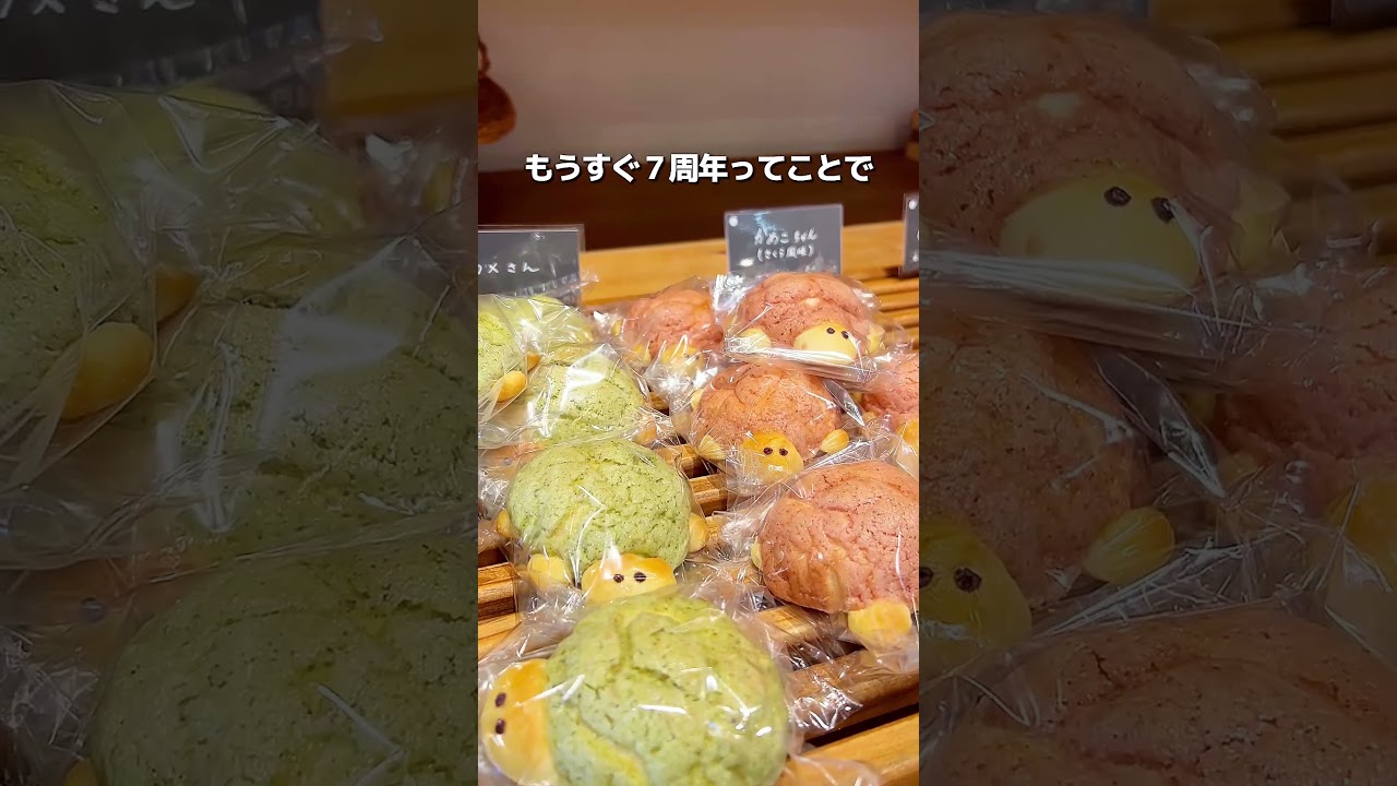 【人気ベーカリーでパン祭り開催】新潟グルメ【公式】#新潟 #新潟グルメ #新潟観光 #niigata #shorts #yummy #pr #新潟グルメ【公式】