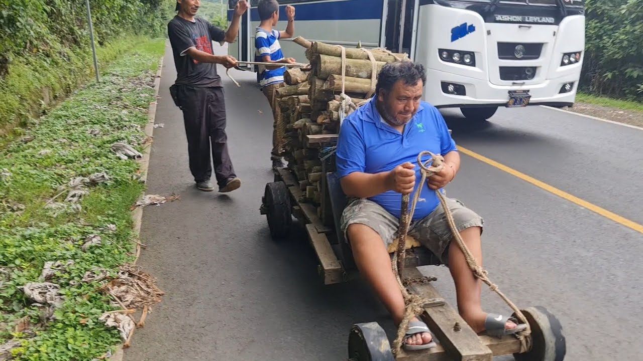 carreta de baleros carga de leña la vida rural/hombre se arriesga para