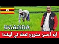 المشاريع الناجحة في أوغندا ليه أوغندا من أفضل الدول اللي تبدأ فيها مشروعك