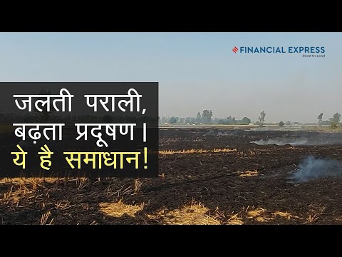 Pusa Decomposer: Solution To Stubble Burning Menace | Delhi Air Pollution Finds Cure