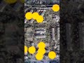 De russificatie van Marioepol