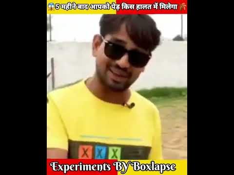 5 महीने बाद आपको पेड़ किस हालत में मिलेगा ( Amazing facts ) 5 month experiments | #shorts #facts - 5 महीने बाद आपको पेड़ किस हालत में मिलेगा ( Amazing facts ) 5 month experiments | #shorts #facts