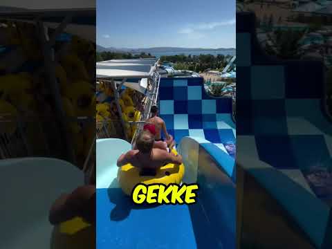 Kun Je DEZE Video Sturen Naar Je Oma?ππ΅π»