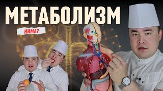 картинка: МЕТОБАЛИЗМ НИМА? ҚИЗИҚАРЛИ  ЖАВОБЛАР ИСЧАНОВДАН!