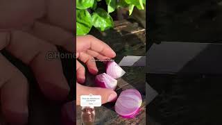 This could be useful and simple tip on how to grow onion at home! #kitchen #hack #shorts