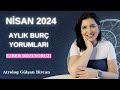 Nsan 2024  aylik bur yorumlari  tm burlar