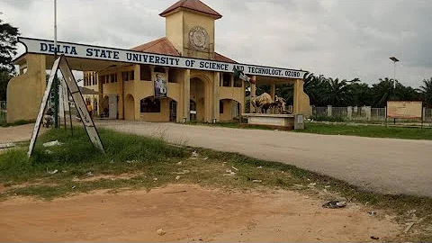 DSUST Ozoro Post UTME Form for 2025 2026 Admission; Southern Delta University
