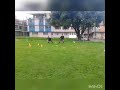Entrenamiento de arqueros