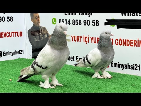 ผลสลากกินแบ่งรัฐบาล วันที่ 1 พย. 2567