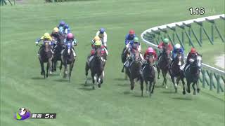 2021/08/15　ユキノオウジサマ　新馬戦