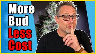 3 Free Grow Room Fixes That Make a Bigger Harvest So Much Easier