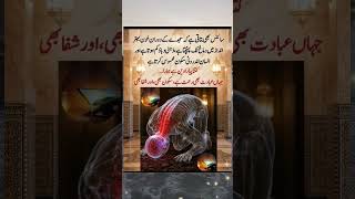 Deep Talks Urdu | Islamic Quotes & Reality Shorts