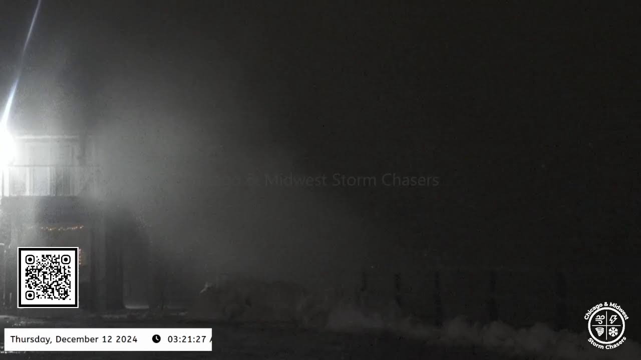 Blizzard and whiteout conditions are occurring along the lakeshore near Hamburg, New York.