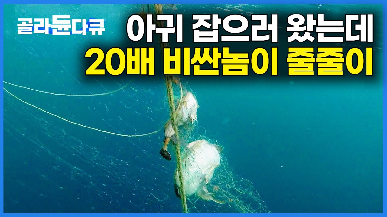 아귀는 찬밥 신세. 20배 비싼 횟감이 줄줄이 올라오니 신난 선장님｜만선 아귀잡이｜극한직업｜