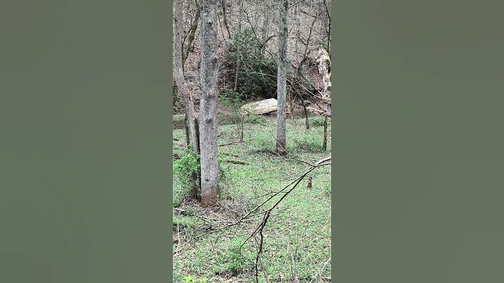 I'm sure they're fine...