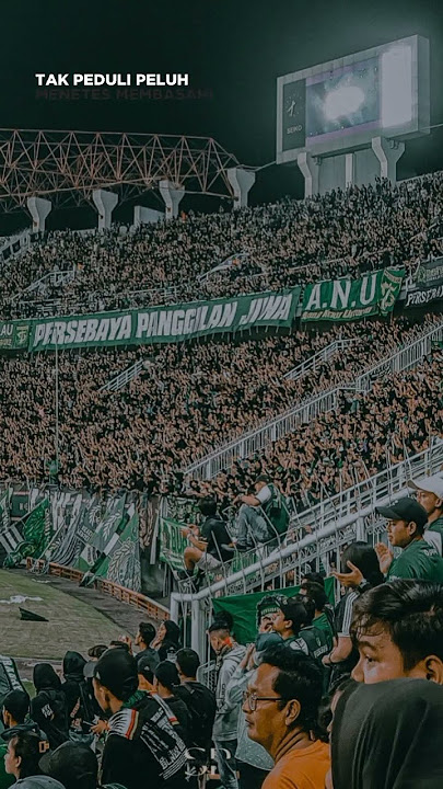 Our Tribun Our Rules - Persebaya #shorts #ultramenreborn #fyp #reels