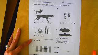 Eureka Math - 1st Grade - Module 3, Lesson 1