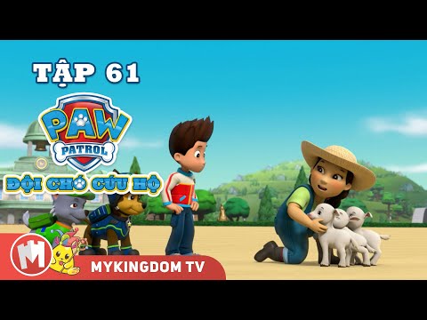 ĐỘI CHÓ CỨU HỘ PAW PATROL MINI | Tập 61 | Phim hoạt hình