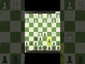 Chess bullet  checkmate in 16 moves chess