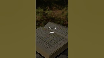 سورة الأعراف القارئ سعد الغامدي