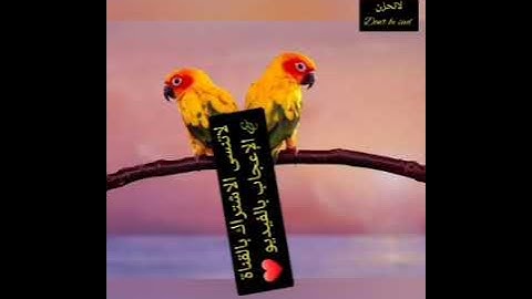 سورة التوبة بصوت رائع❤رقية شرعية❤يحيى صدقي❤Stress-relief sound and amazing landscapes❤ the Quran🕊