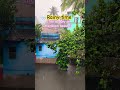 🌧️Rainy time 🌧️ বর্ষার কালে বৃষ্টির অপরূপ সৌন্দর্য 💚 #monsoon #rain #subscribemychannel #ytshorts