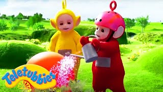 ★Teletubbies Bahasa Indonesia★ MUSIM BUNGA ★ Full Episode - HD | Kartun Lucu