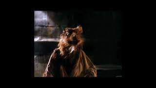 Teenage Mutant Ninja Turtles 1990 -  Cowabunga Scene/ Splinter Made a Funny