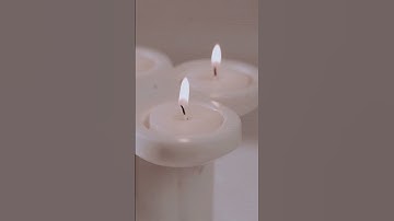 Sneak Peak Alert! 🚨