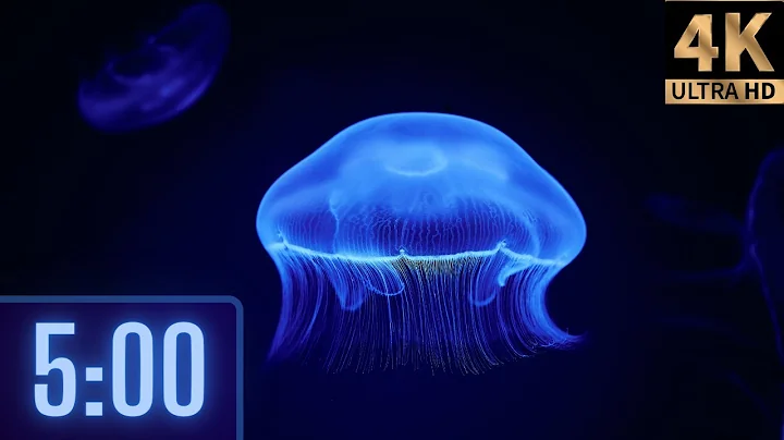 5 Minute 4K Relaxing Jellyfish Timer for kids | Music 🎵 and Alarm 🔔