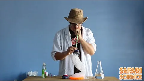 How to make easy bubble snake science