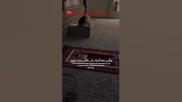 آيات من سورة  الفتح تريح القلب وتذهب الحزن 😌