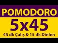Pomodoro Tekniği | 5 x 45 Dakika | 45 dk Çalış & 15 dk Dinlen | Pomodoro Sayacı | Alarmlı | Müziksiz