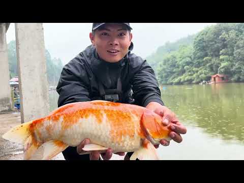 Học câu đài rô chép cùng Hoà Lk