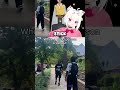Oh blind guy crashout  #vtuber #filian #vtuberclips #streamer #twitch