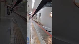 E259系臨時特急しおさい83号東京駅#jr #本線 #電車 #train #railway #勝子の投稿 #music