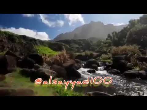 صلوا عليه الصلاة على النبي محمد ﷺ اللهم صل على ذي القدر العلي والنور البهي