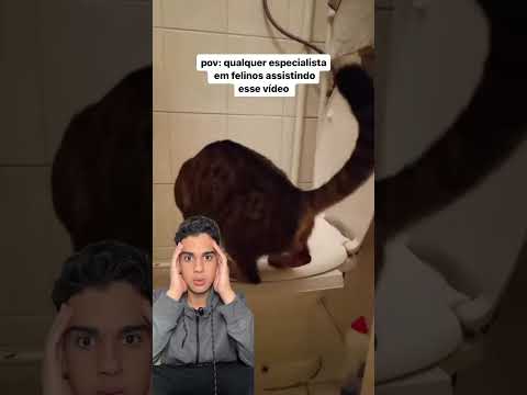 Você já viu gato fazer xixi no vaso sanitário?? #medvet #veterinario #gatos #shorts #gato #vet