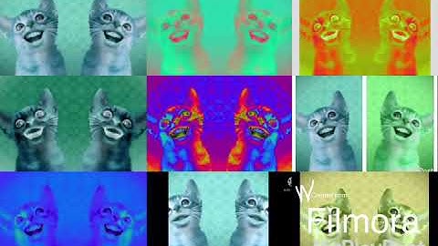 9 Preview 2 Numa Cats In Low Voice