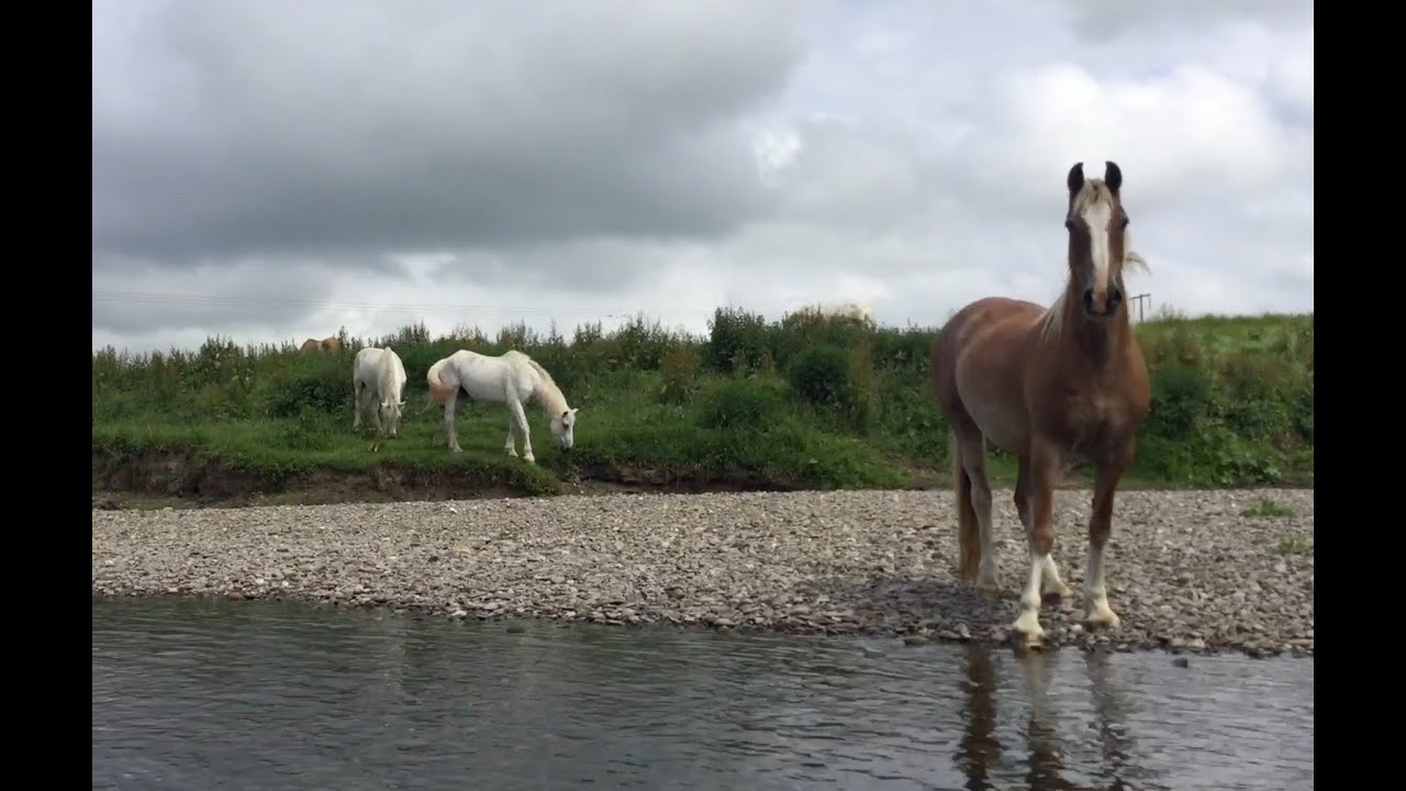 river wye inflatable kayak
