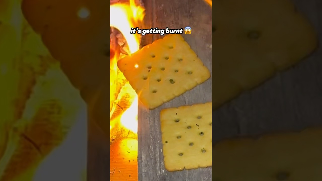 Mashmallow chocolate cookies from @nickdigiovanni 