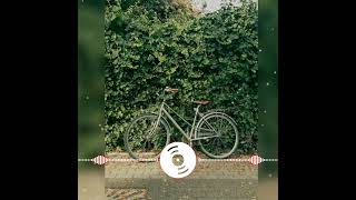 Bayang yang tak pergi 