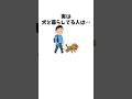 犬中心の生活、ここまで来たら本物です #犬 #ペット #雑学