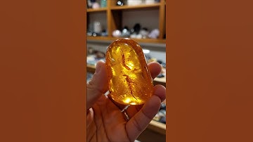 Millions of Years in the Palm of Your Hand! 🌍 #BalticAmber#Amber#Fossils