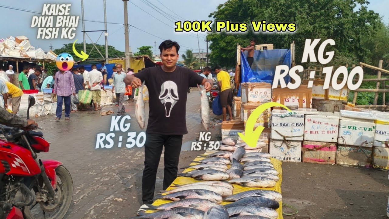 Guwahati Hatigaon Ka Sabse Bada😱 Wholesale Fish Market wholesale fish
