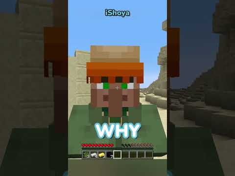 Minecraft, But I Can't Show My Face