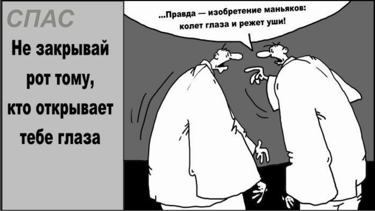 Как рубить дрова. Открытки правда глаза колет. Колет значение. Правда глаза колет правда. Судебно-медицинское значение повреждений.